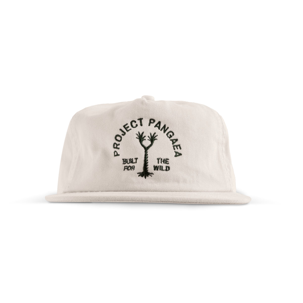 Sigillaria tree on flat brimmed cotton hat. Project Pangaea Build for The Wild Text.
Nature hat, outdoor hat, high quality cotton flat peak hat, soft hat, prehistoric hat, paleontology hat
