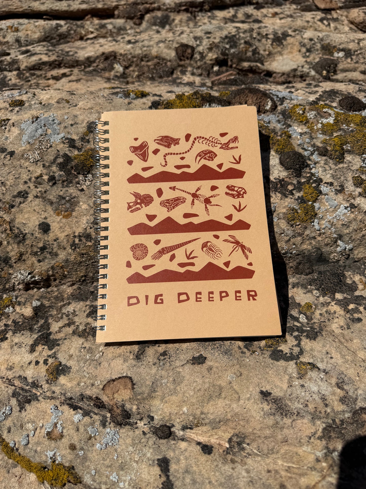 Field Notebook