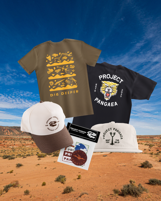 DINOSAUR GIFTS FOR MEN