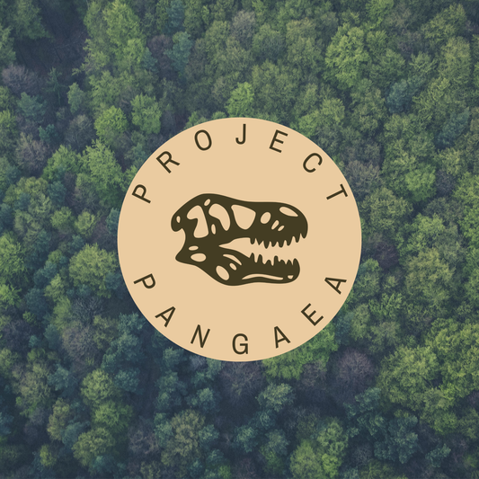 HOW OUR PAST SHAPES THE FUTURE