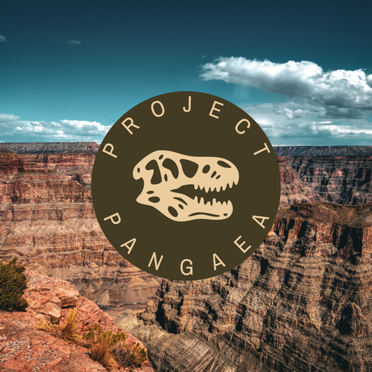 PROJECT PANGAEA: THE MEANING BEHIND THE NAME