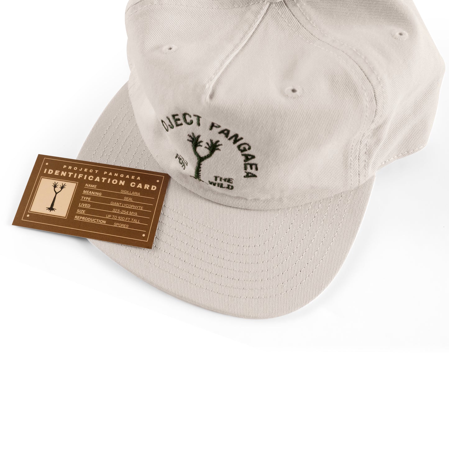 Beige cap with 'Project Pangaea Built for the Wild' text Sigillaria tree stitched in dark green. 100% cotton. 

Fact card on top for Sigillaria tree. Meaning: seal, type: Giant Lycophyte, lived: 323-254 MYA, size: up to 100 Ft Tall, Reproduction: spores. 