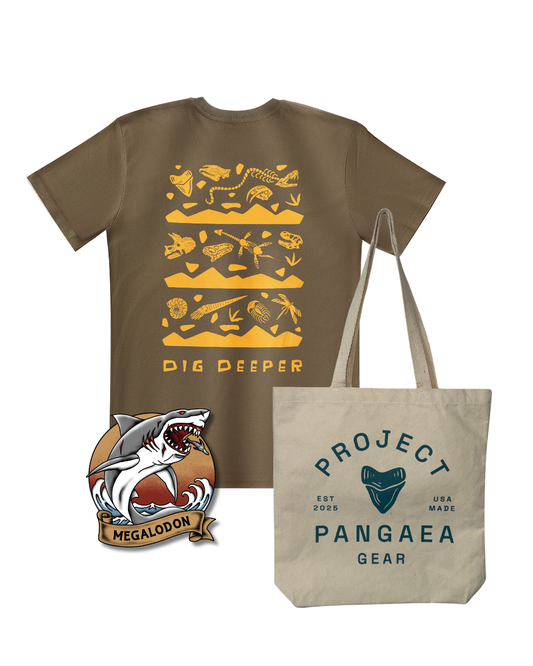 Megalodon Bundle