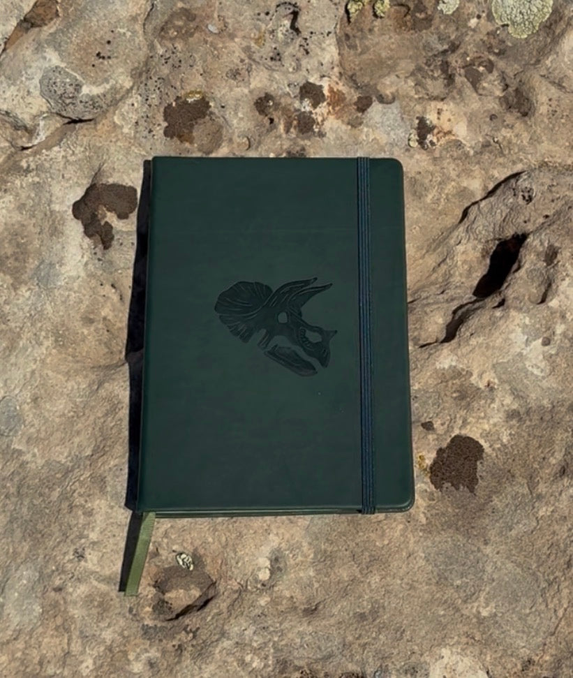 Curator's Journal