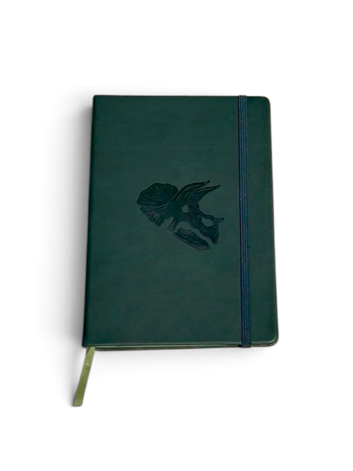 Curator's Journal