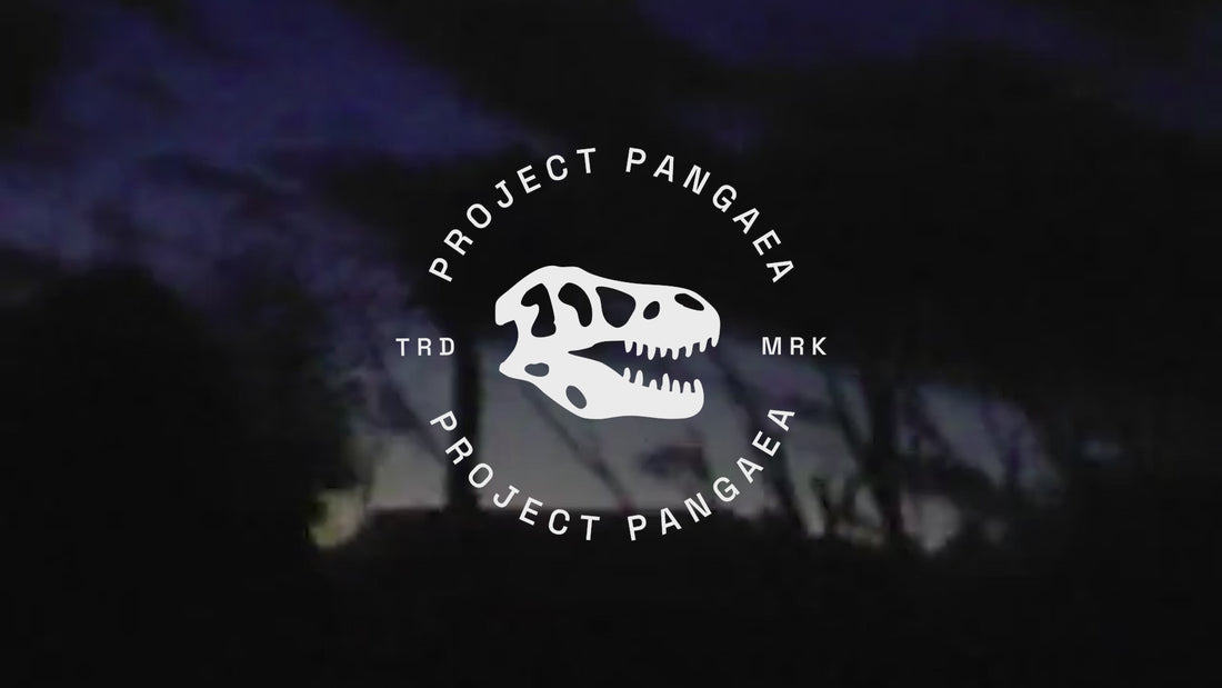 Video for Project Pangaea showing two people hiking and finding a sabertooth tiger shirt. A paleontologist takes it to the lab and gives it an identification card - smilodon, knife tooth, carnivore, etc. It's then added to a storage room with photos of other prehistoric clothing items - layered fossil t shirt, sigillaria tree hat, smilodon/sabertooth tiger shirt in black and tan, Titanoboa shirt, T- Rex Hat and a box of all the prehistoric streetwear clothes, Followed by a t-rex project pangaea logo. 