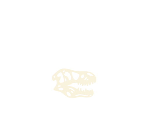 T. Rex skull, t-rex, tyrannosaurus rex skull, learn more about t-rex